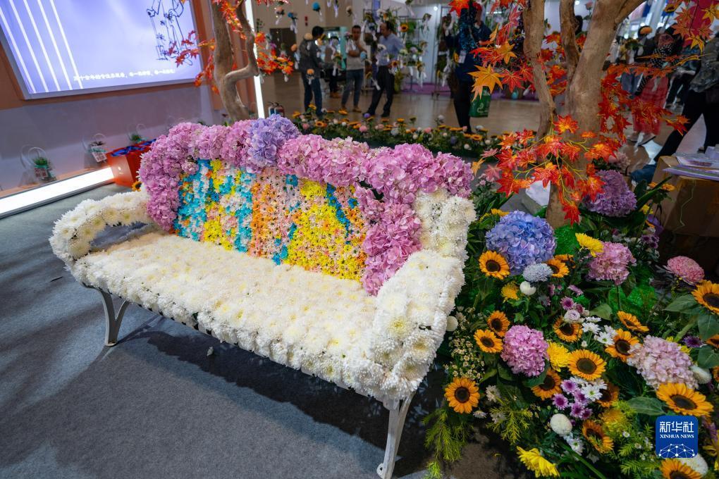 鸿运论坛